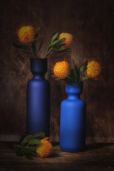  - Saskia Dingemans