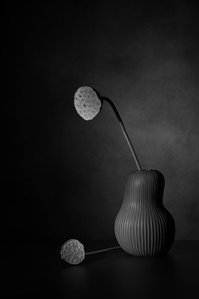  - Saskia Dingemans