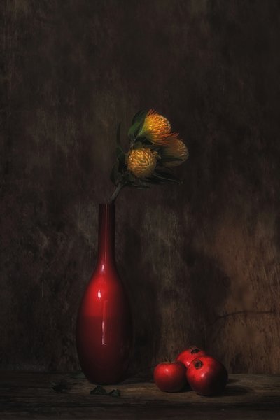 - Saskia Dingemans