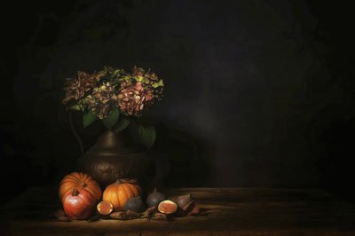  - Saskia Dingemans