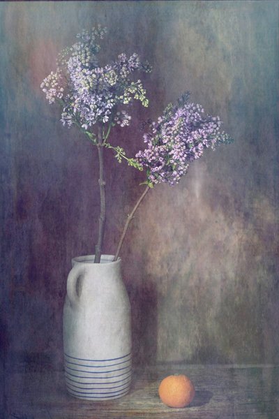  - Saskia Dingemans