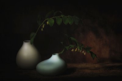  - Saskia Dingemans