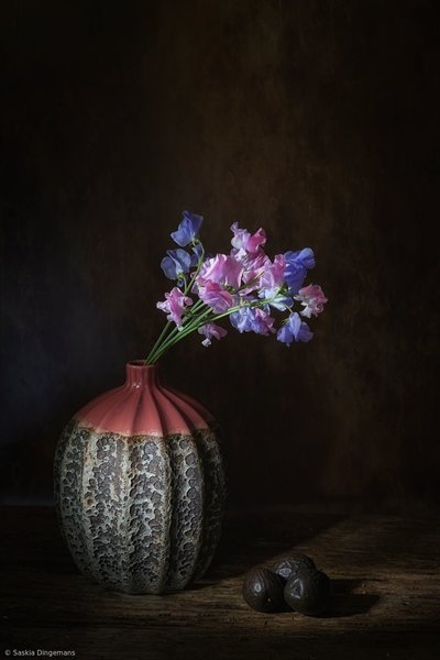  - Saskia Dingemans