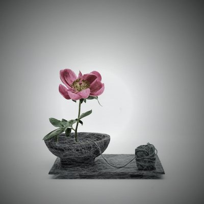  - Saskia Dingemans
