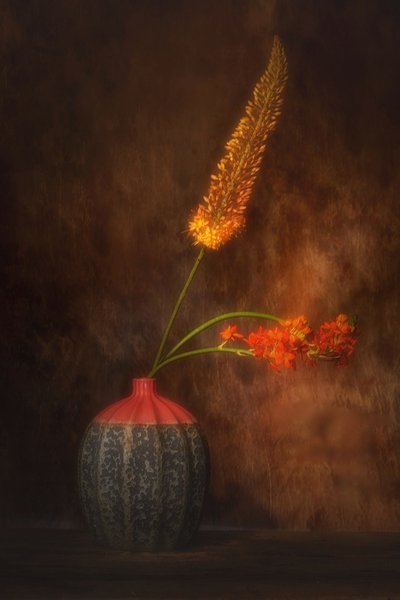  - Saskia Dingemans