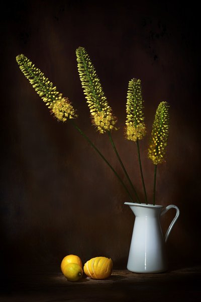  - Saskia Dingemans
