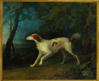 Un setter brun et blanc dans un paysage boisé, 1773 - Sawrey Gilpin