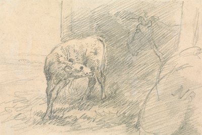 Veau, avec tête de vache - Sawrey Gilpin