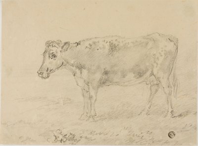 Vache - Sawrey Gilpin