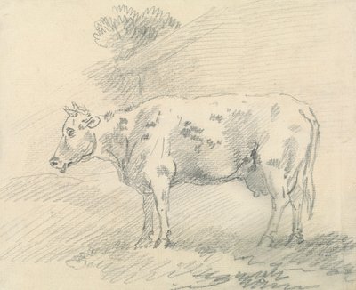 Vache - Sawrey Gilpin