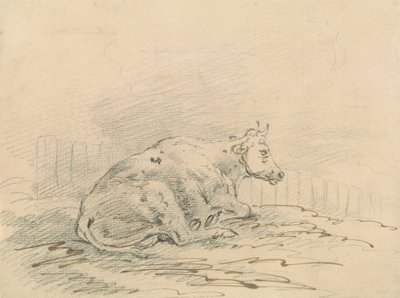 Vache couchée près d