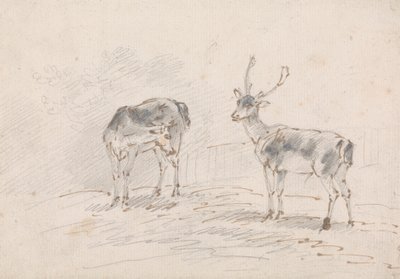 Biche et cerf - Sawrey Gilpin