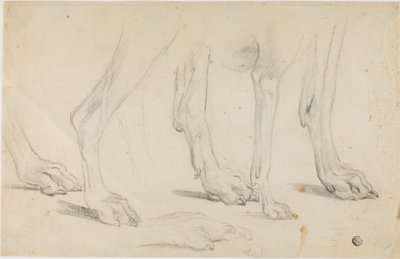 Pattes de chien - Sawrey Gilpin