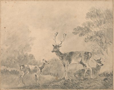 Cerfs: Cerf, Biche et Faon dans une clairière - Sawrey Gilpin
