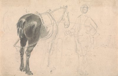 Cheval de ferme tenu par un garçon d