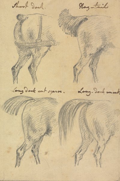 Quatre croquis de queues de cheval - Sawrey Gilpin