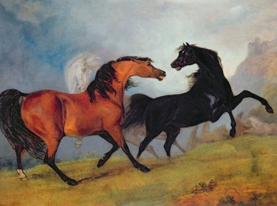 Chevaux se battant - Sawrey Gilpin