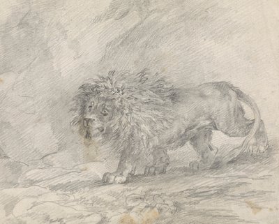 Lion marchant dans un paysage rocheux - Sawrey Gilpin