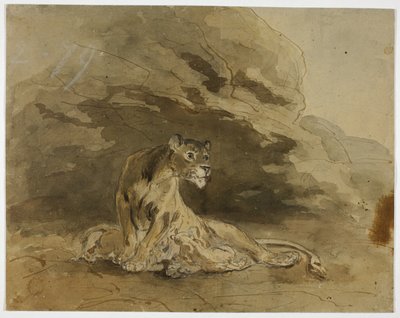 Lionnes et lionceaux - Sawrey Gilpin