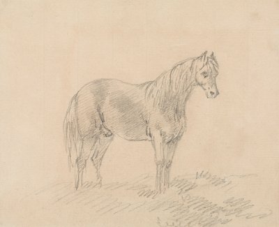 Cheval mâle - Sawrey Gilpin