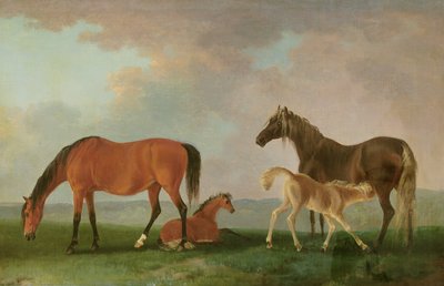 Juments et poulains - Sawrey Gilpin