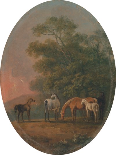 Juments et Poulains - Sawrey Gilpin