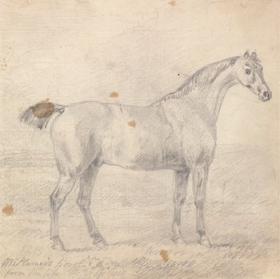 Le cheval de M. Plumer - Sawrey Gilpin