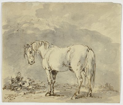 Cheval debout avec la tête tournée - Sawrey Gilpin