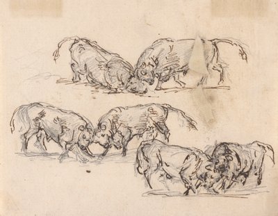 Études de corrida - Sawrey Gilpin