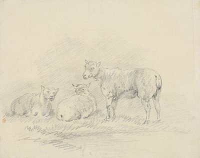 Trois moutons - Sawrey Gilpin