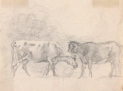 Deux vaches broutant - Sawrey Gilpin