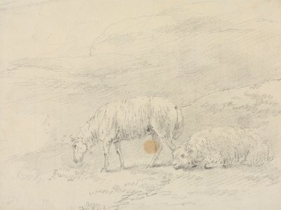 Deux moutons - Sawrey Gilpin