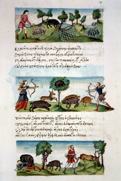 Art byzantin : chasse au sanglier. Différentes techniques de chasse. En haut : capture de betteraves dans des filets. Au centre : chasse au gibier à l