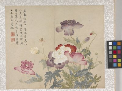 Album de 8 feuilles de fleurs, milieu des années 1700 - School Chinese