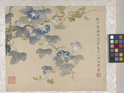 Album de 8 feuilles de fleurs, milieu des années 1700 - School Chinese