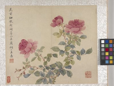 Album de 8 feuilles de fleurs, milieu des années 1700 - School Chinese