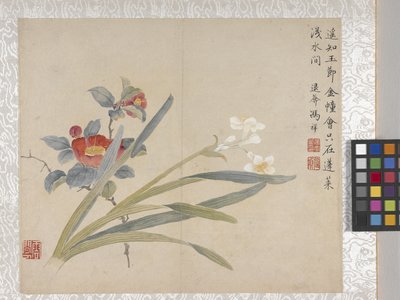 Album de 8 feuilles de fleurs, milieu des années 1700 - School Chinese
