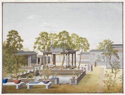 Dessin du jardin d