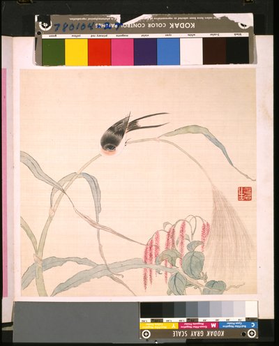 Album de Fleurs et d