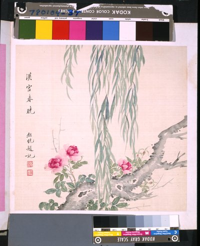 Album de fleurs et d
