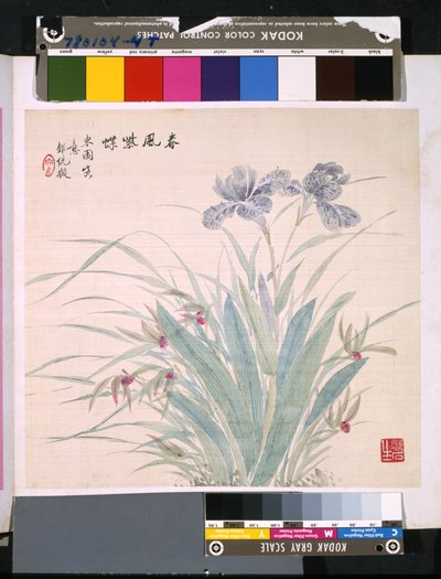 Album de fleurs et d