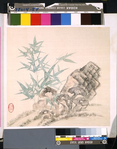 Album de fleurs et d