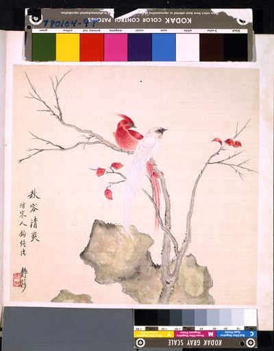 Album de fleurs et d