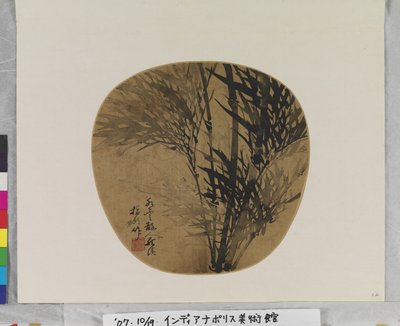 Bambou - School Chinese