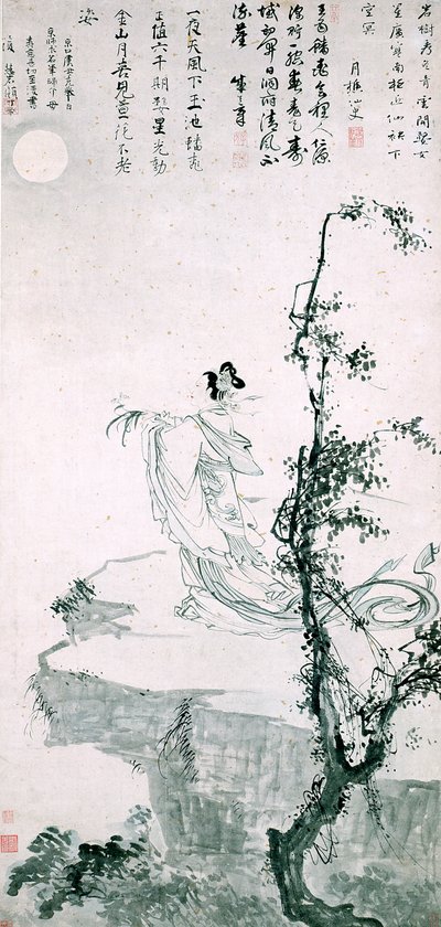 Belle femme présentant la longévité - School Chinese