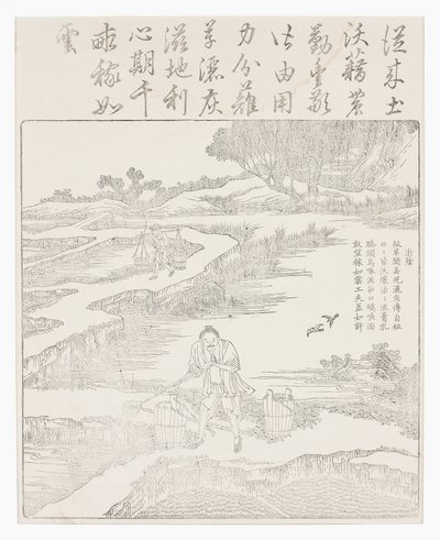 Fertilisation des plants de riz - School Chinese
