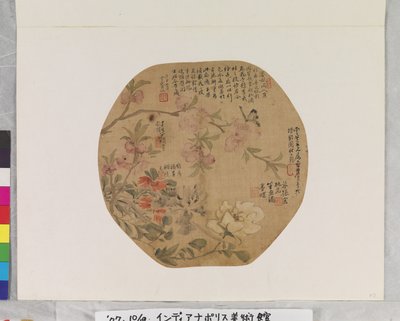 Fleurs et papillon - School Chinese