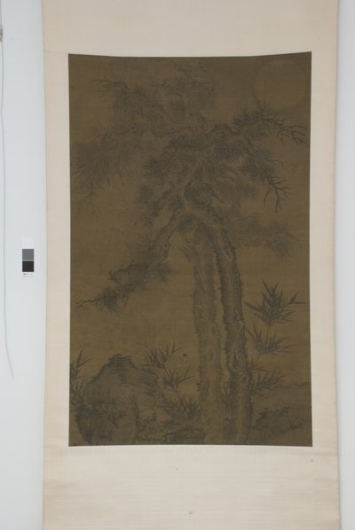 Vieux arbres sous la lune - School Chinese