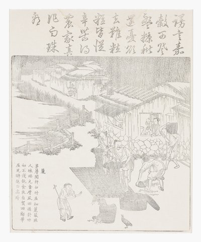 Tamiser le riz - School Chinese
