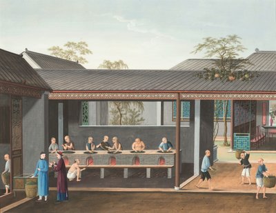 Production de thé, vers 1820 - School Chinese